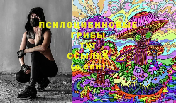 крисы Семёнов